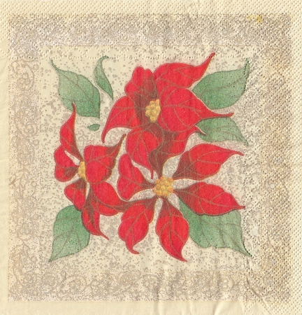 81